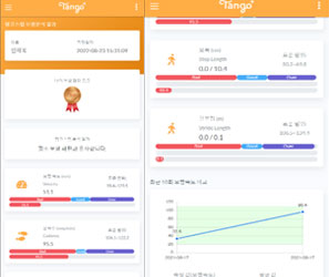 웹사이트 형식 결과제공